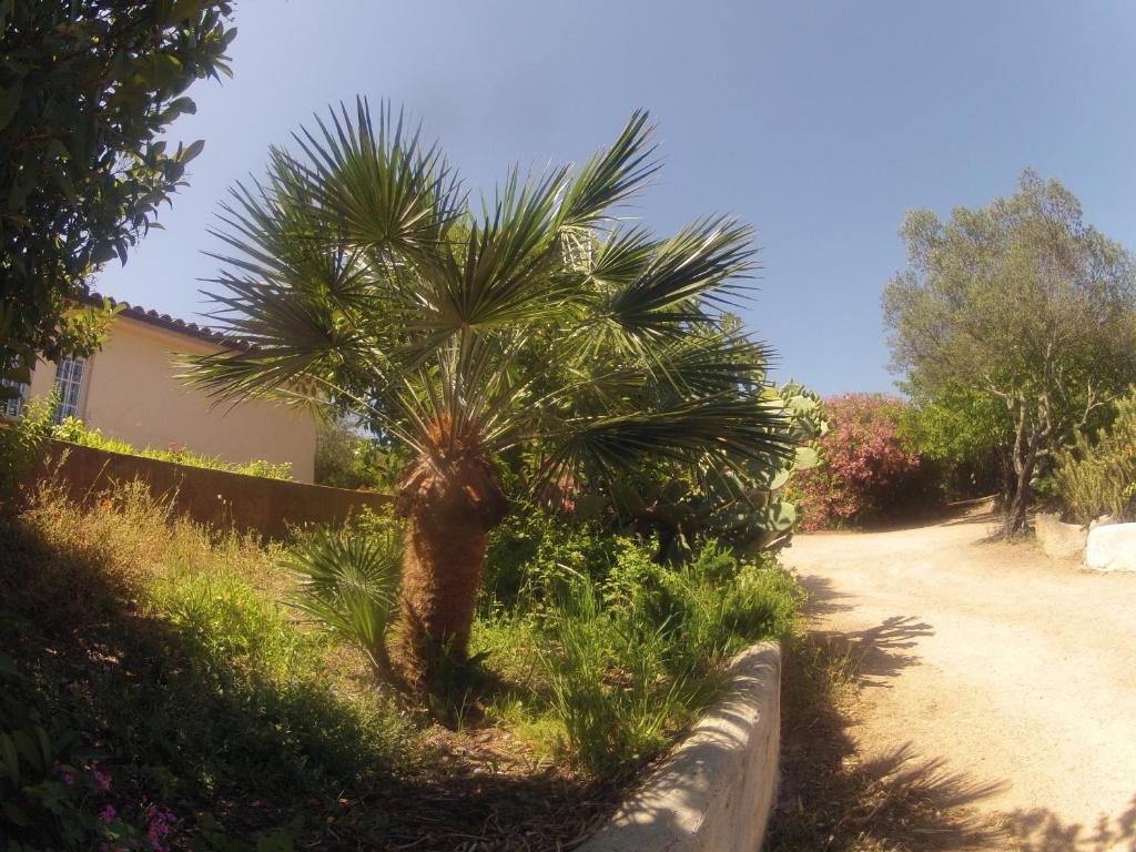Residence La Beloutiere Porto-Vecchio  Dış mekan fotoğraf