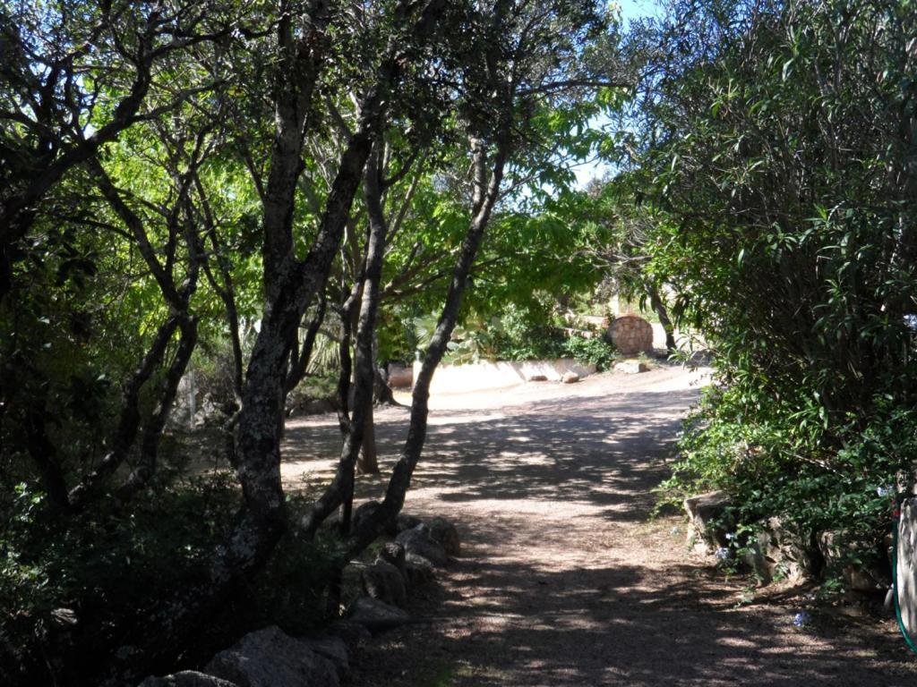 Residence La Beloutiere Porto-Vecchio  Dış mekan fotoğraf